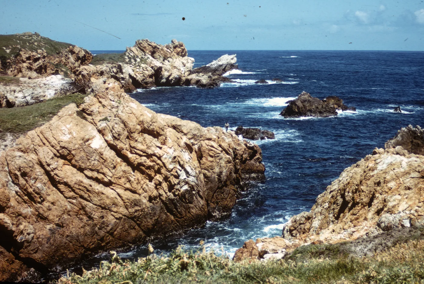 coastal California, Montana de Oro