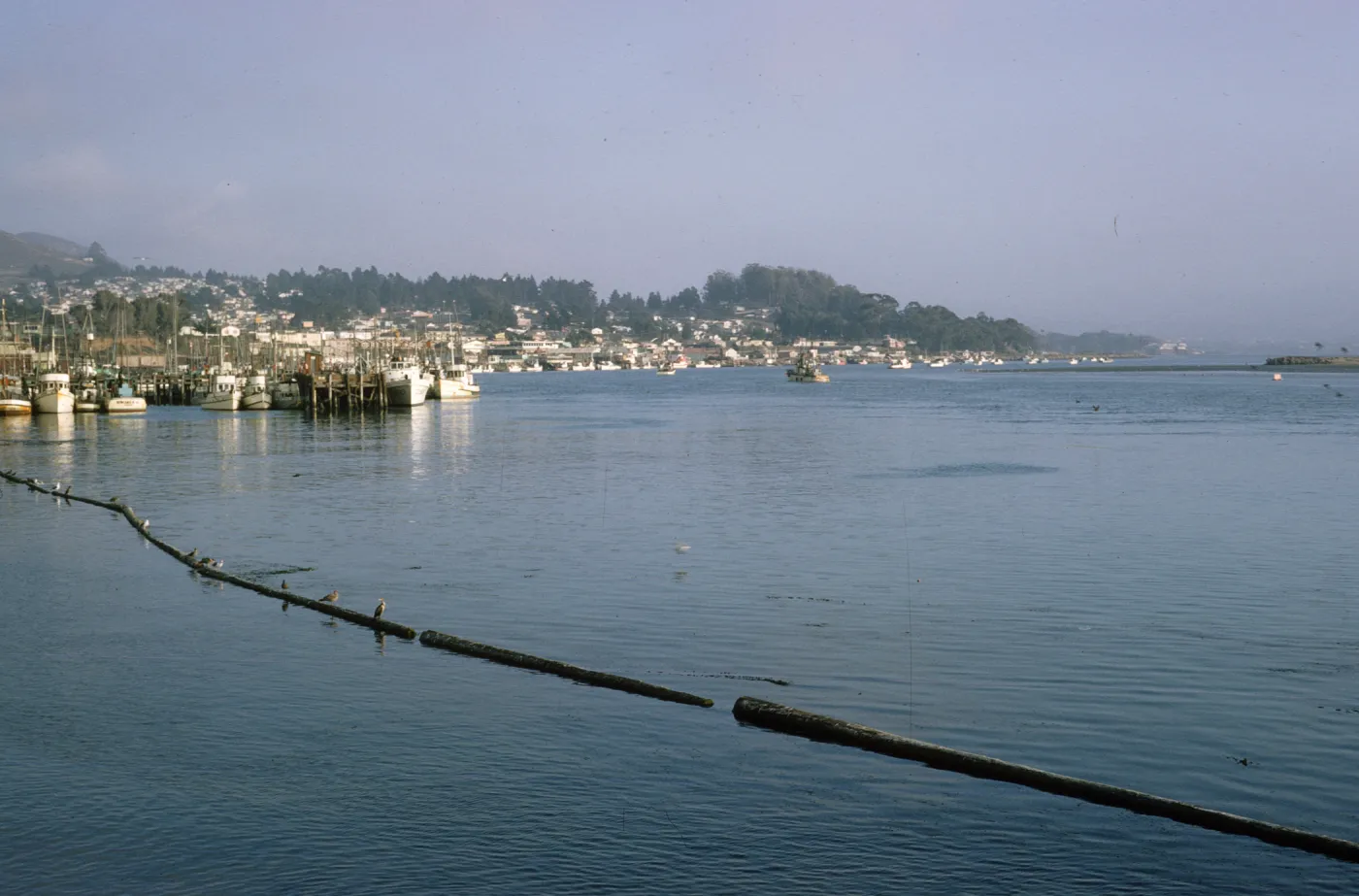 harbor and boats, Morro Bay
