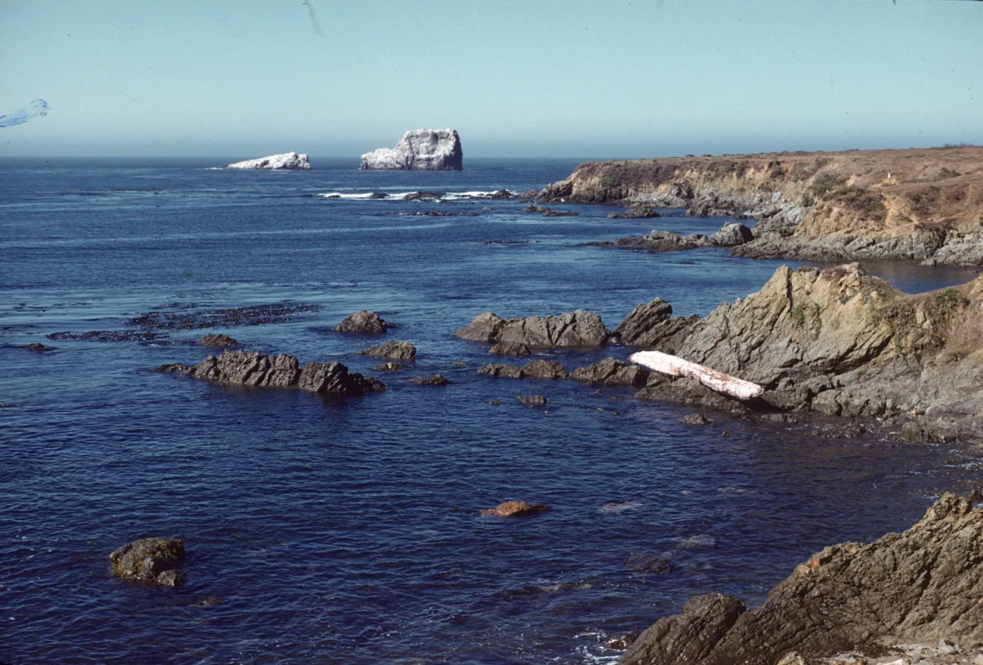 shore rocks near San Simeon