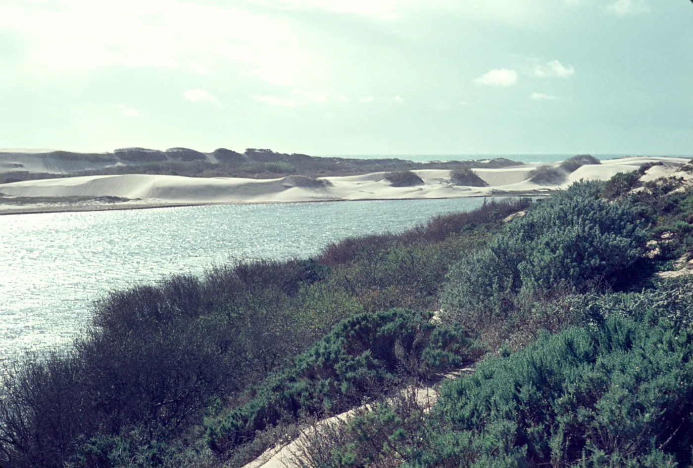 Oso Flaco Lake