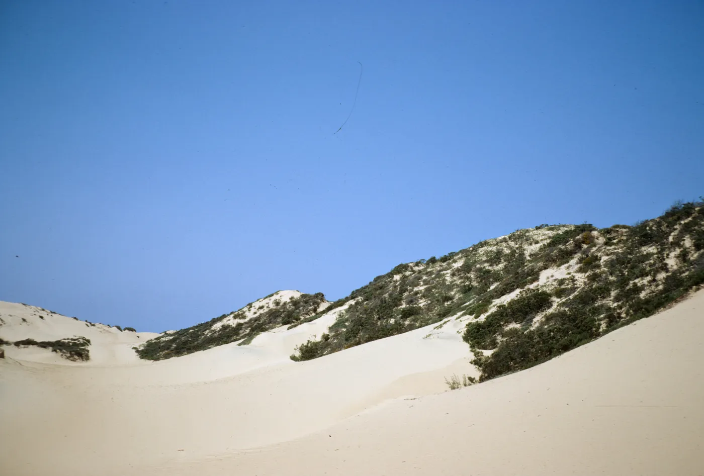 sand dunes at Oso Flaco
