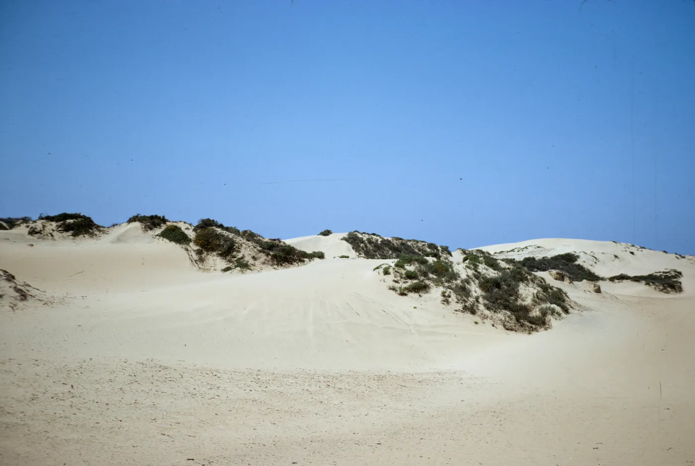 sand dunes, Oso Flaco
