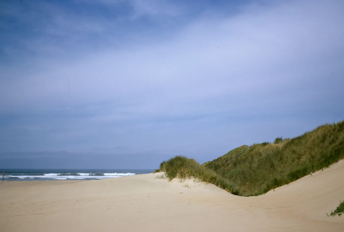 Oso Flaco dunes at the ocean