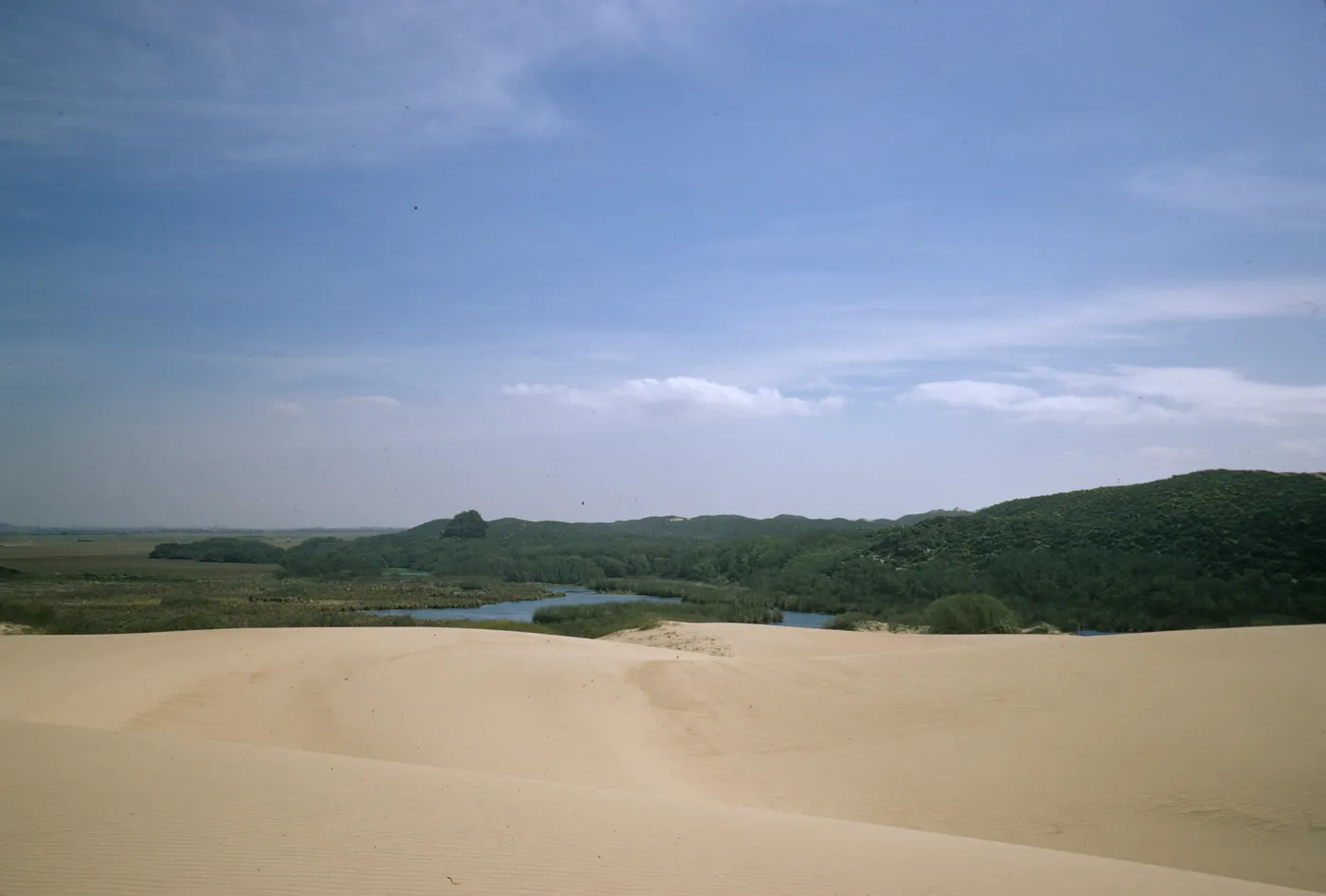 dunes at Oso Flaco Lake