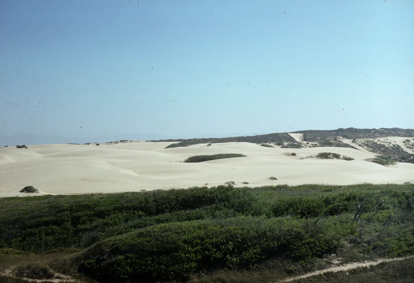 Oso Flaco dunes
