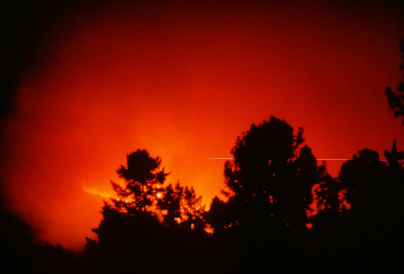 Coyote Fire 1964, Mission Canyon