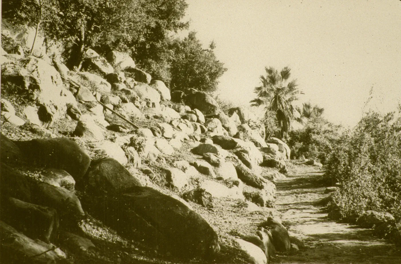 renovated Campbell Trail 1961