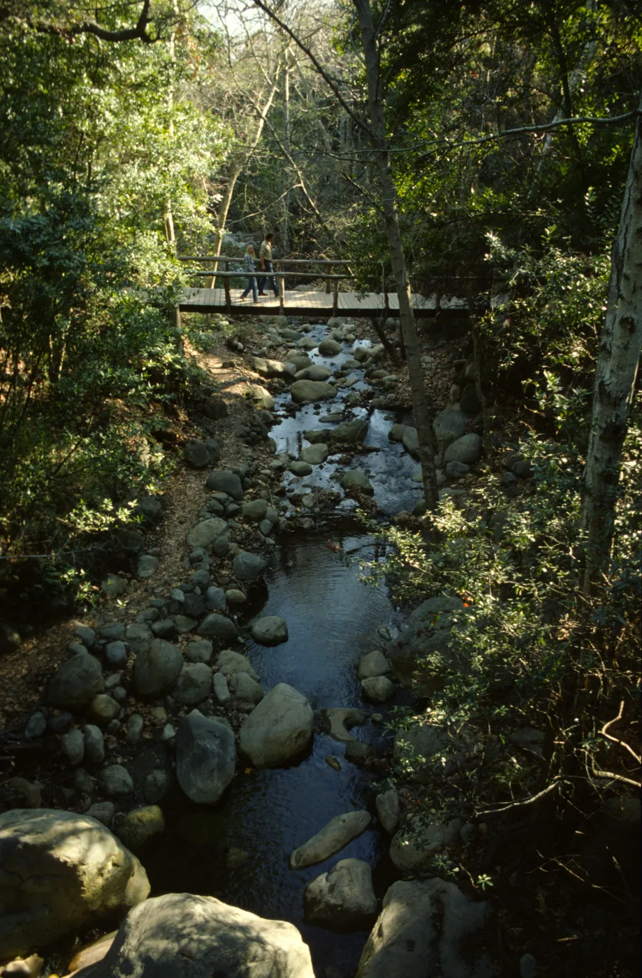 visitors walk across the Campbell Bridge, Mission Creek flowing below, 1995?