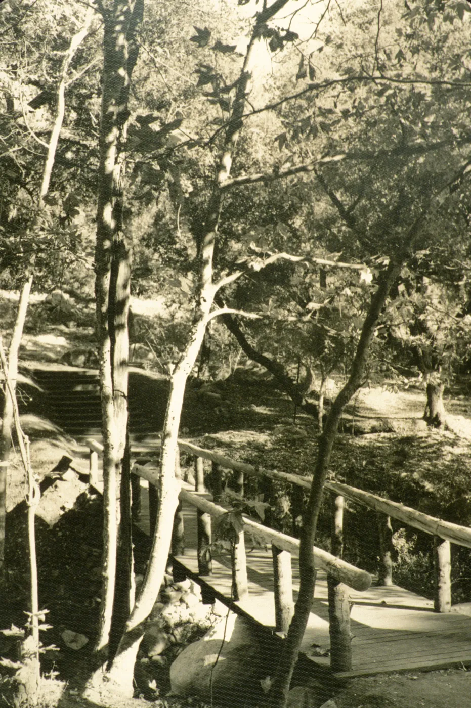 Campbell Bridge 1940's