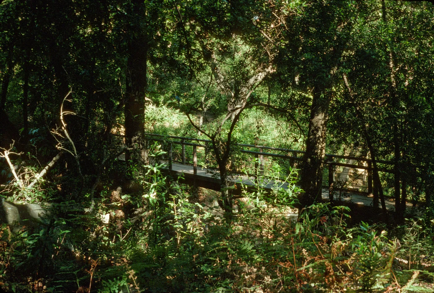 Campbell Bridge 1993