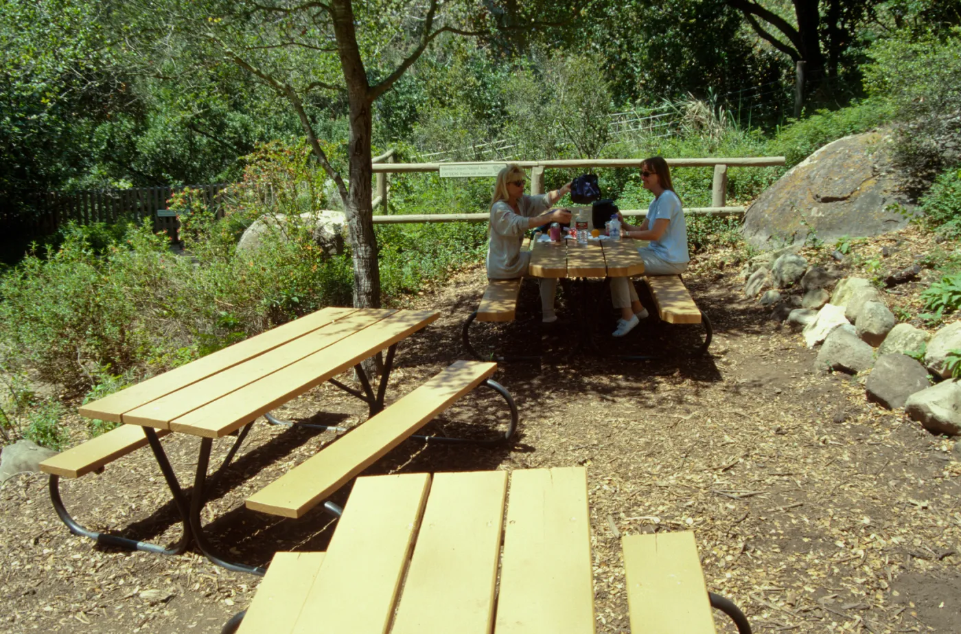 new picnic area, SBBG