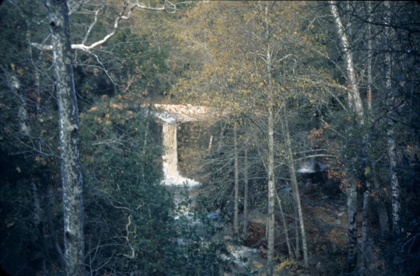 Mission Creek waterfall over Old Mission Dam