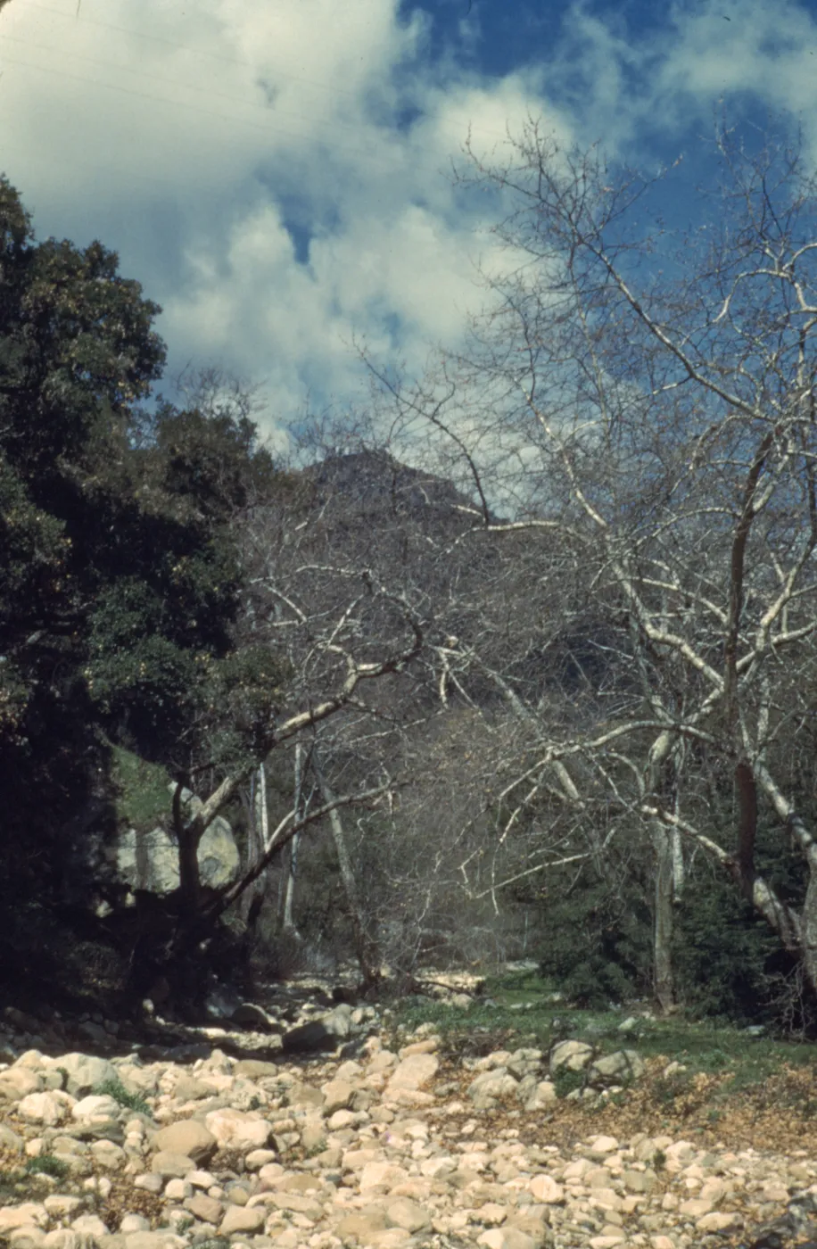 Mission Creek above Mission Dam
