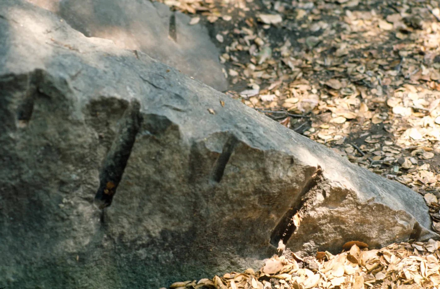 chisel marks on boulder in Mission Canyon, SBBG