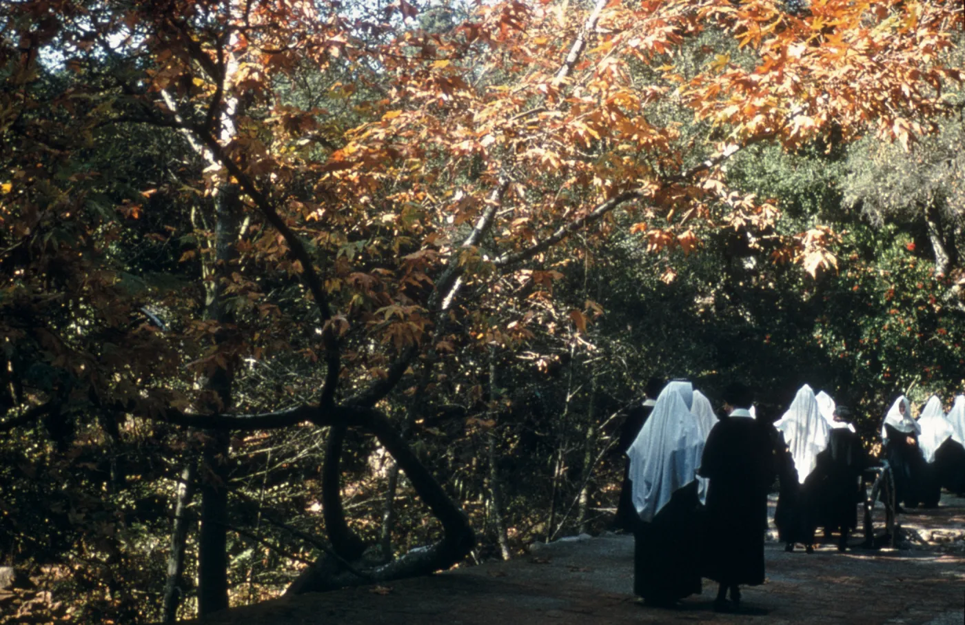 Nuns, Old Mission Dam