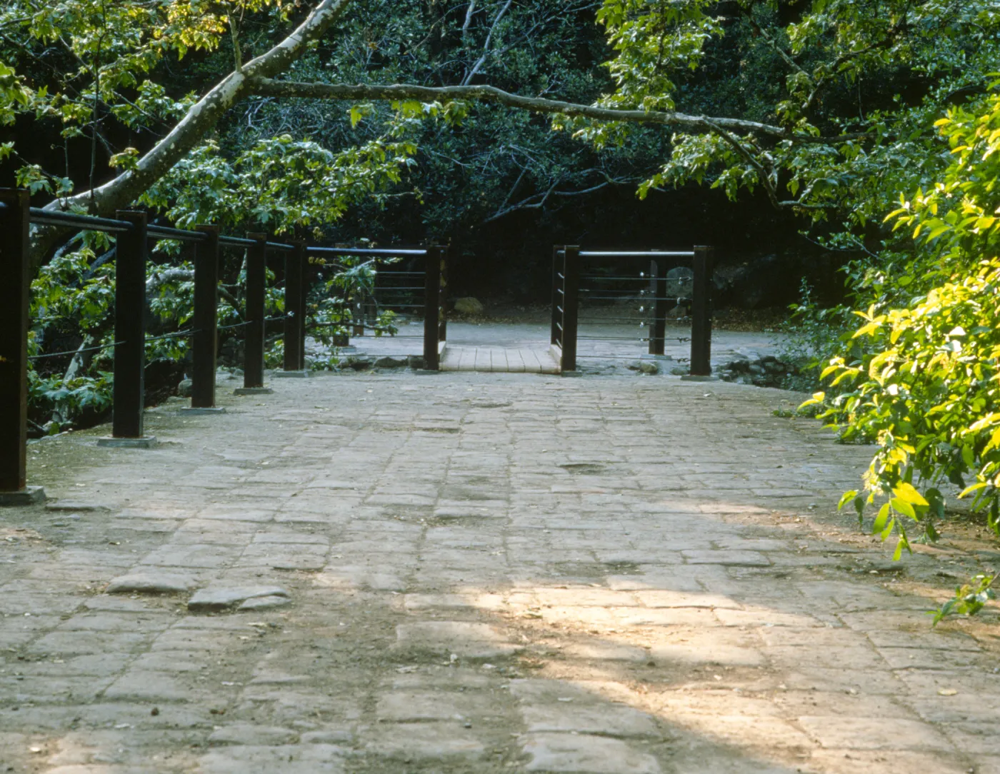 pavered path across the old Mission Dam