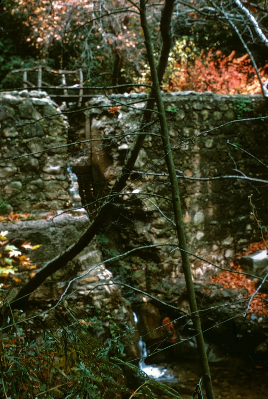 Old Mission Dam