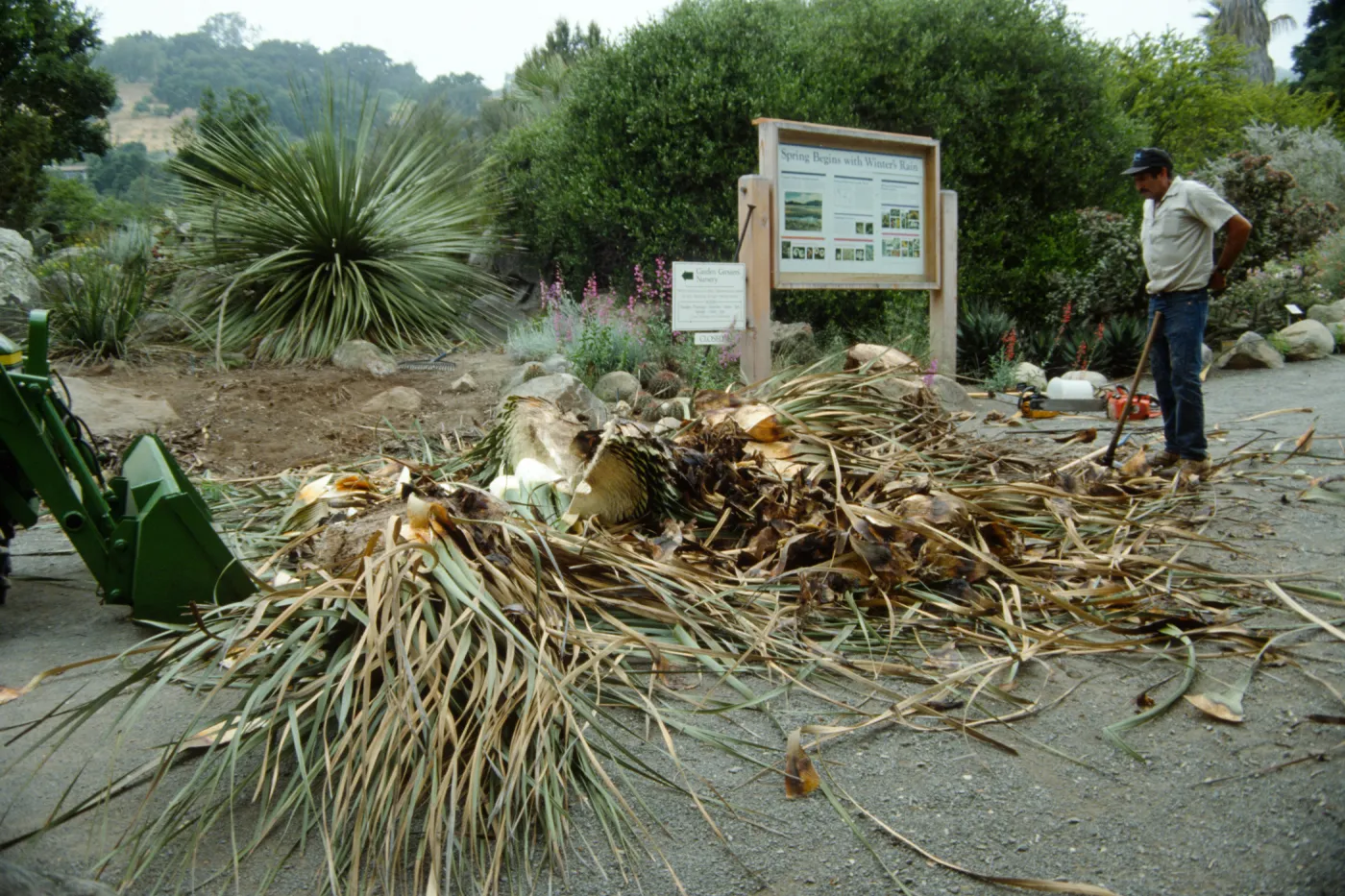 construction of the Desert Wash, SBBG