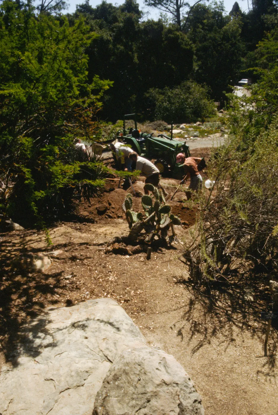construction of the Desert Wash, SBBG