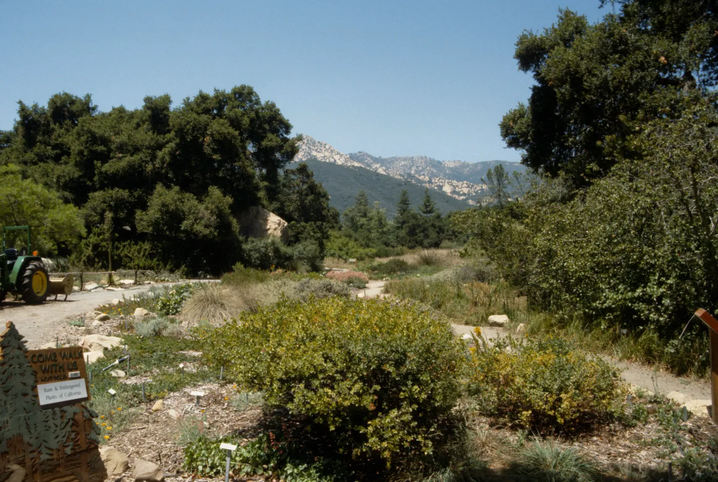 SBBG Meadow, adjacent to construction of the Desert Wash