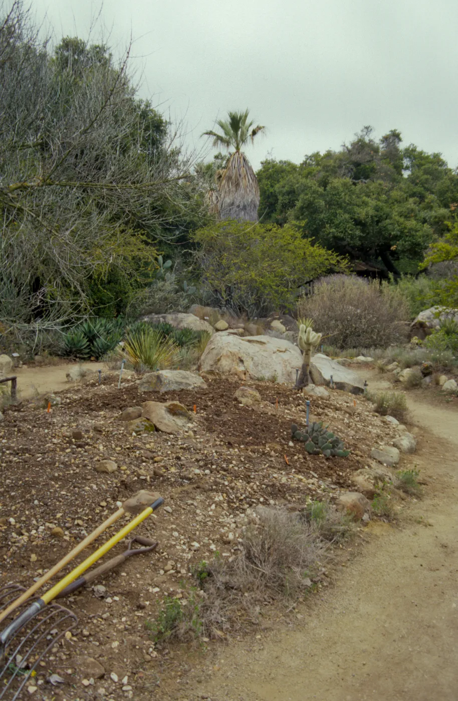the Desert Mound, in progress