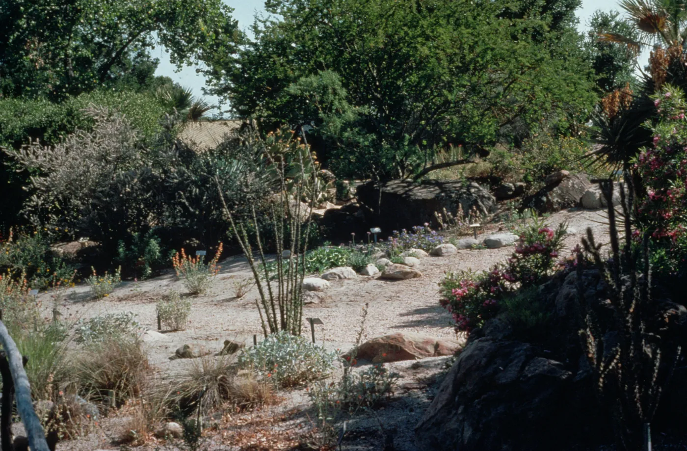 Desert Section