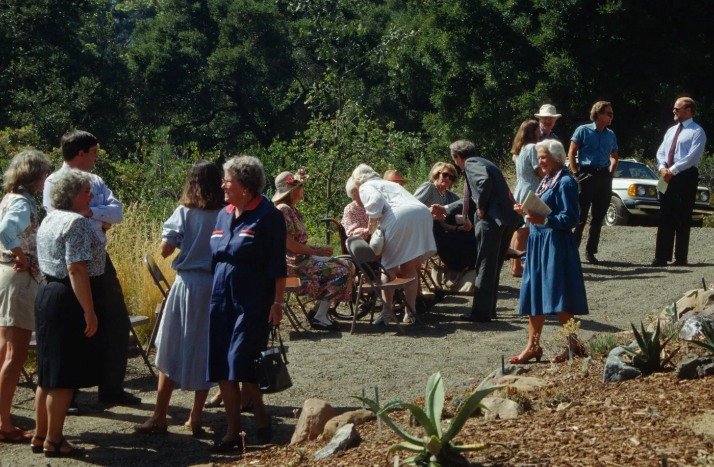 Dudleya Display Dedication