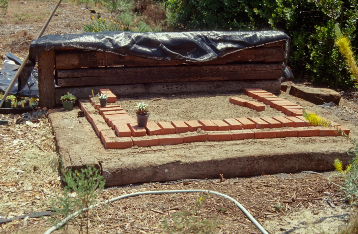 Dudleya Test Plot, August 1998