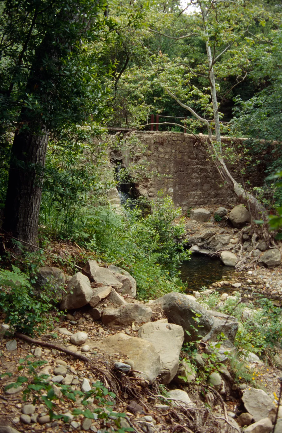 Mission Dam from Lower Creek