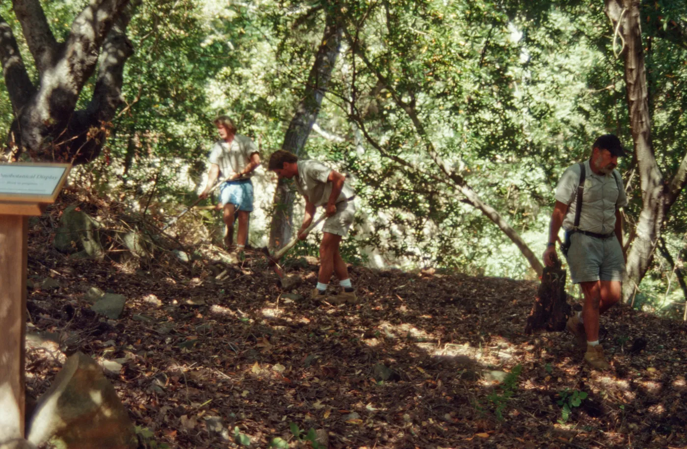 Preparing Ethnobotanical Display area