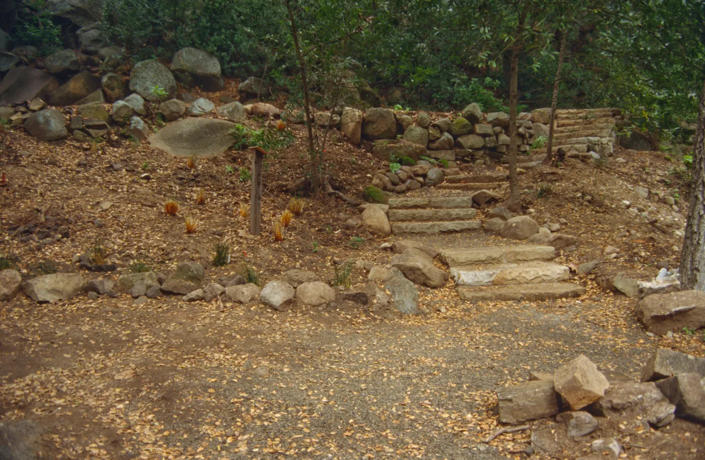 Ethnobotanical Display Area