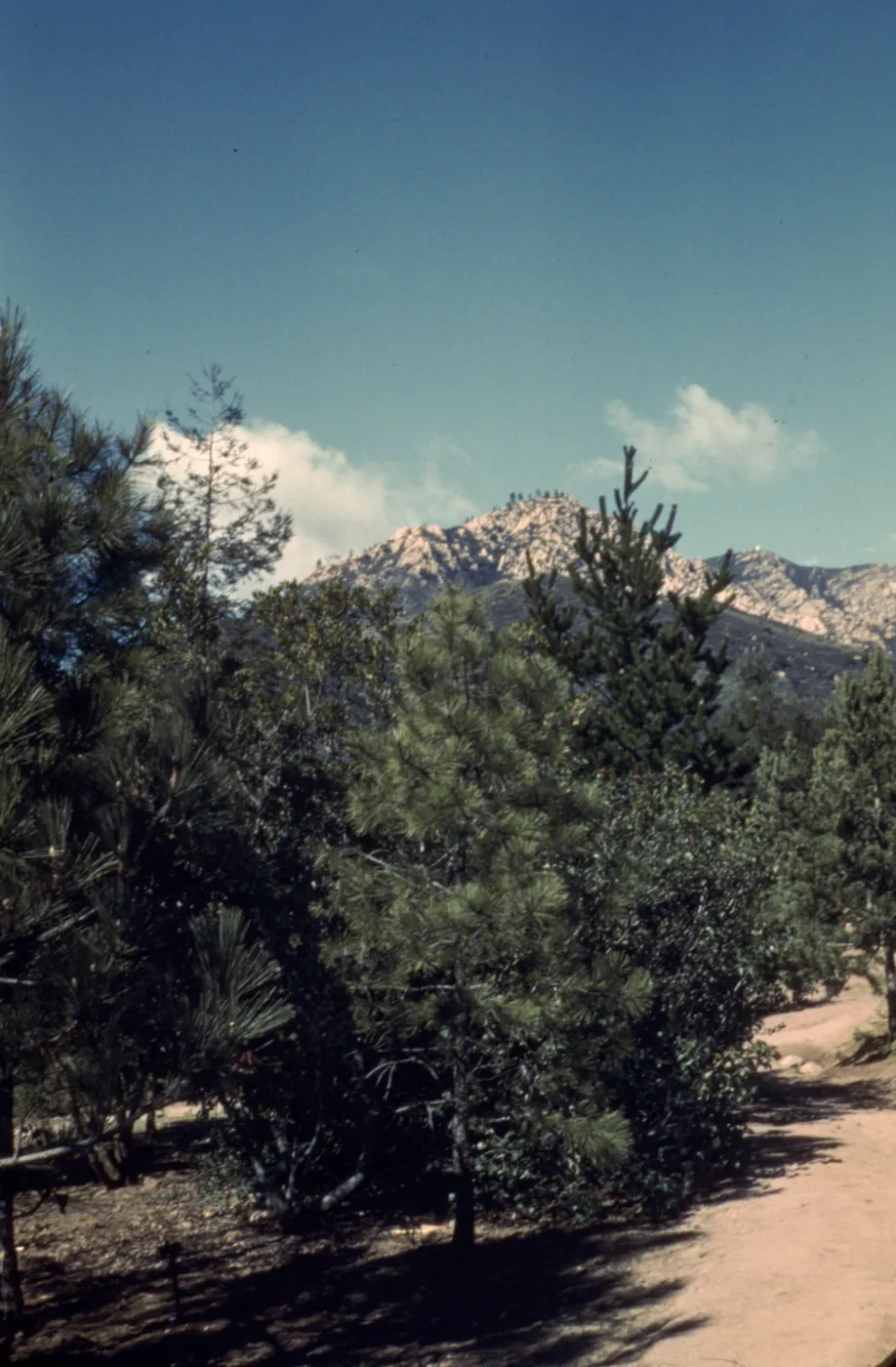 Old Foothill Section looking north to mountain