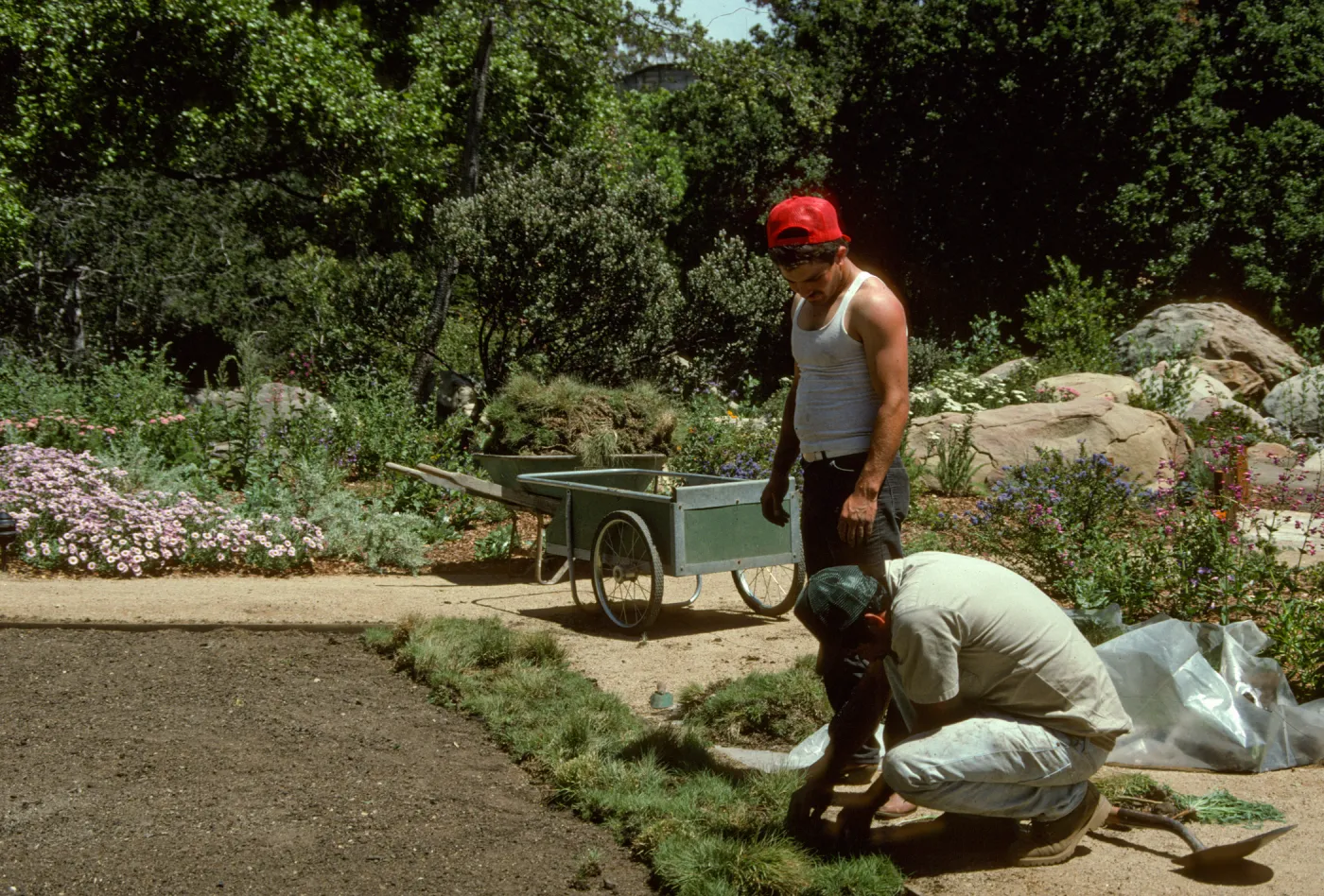 SBBG Home Demonstration Garden construction