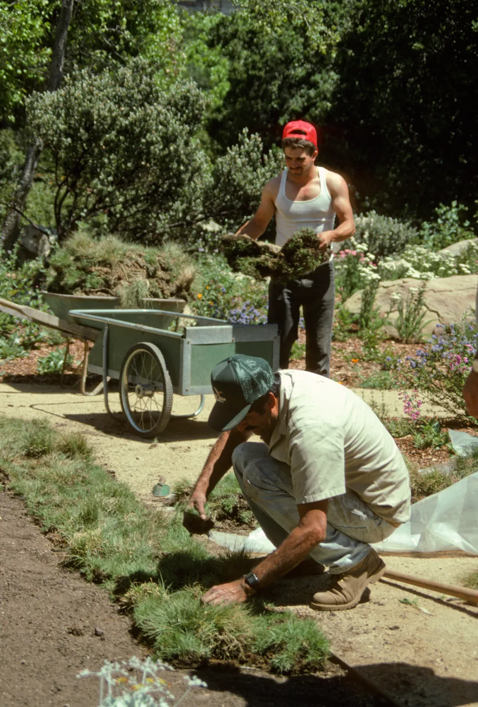 SBBG Home Demonstration Garden construction