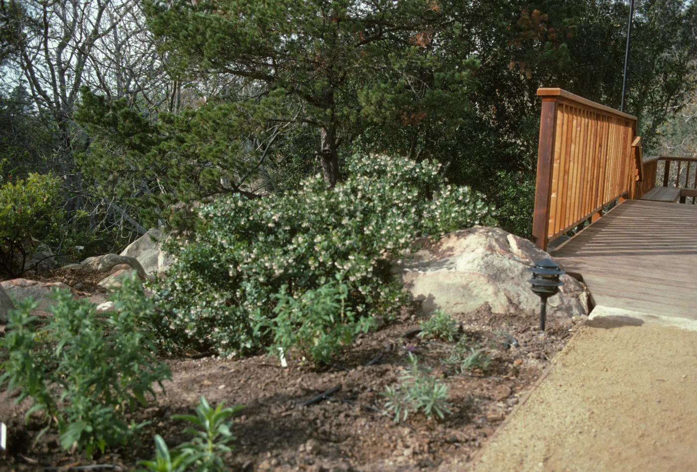 SBBG Home Demonstration Garden construction