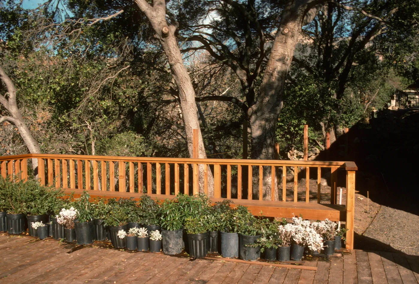 SBBG Home Demonstration Garden construction