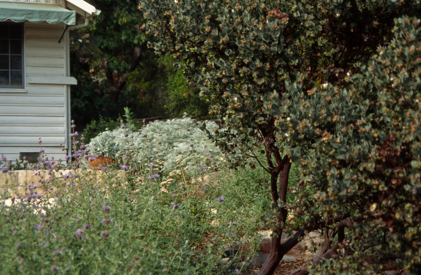 Home Demonstration Garden Construction (Manzanita)
