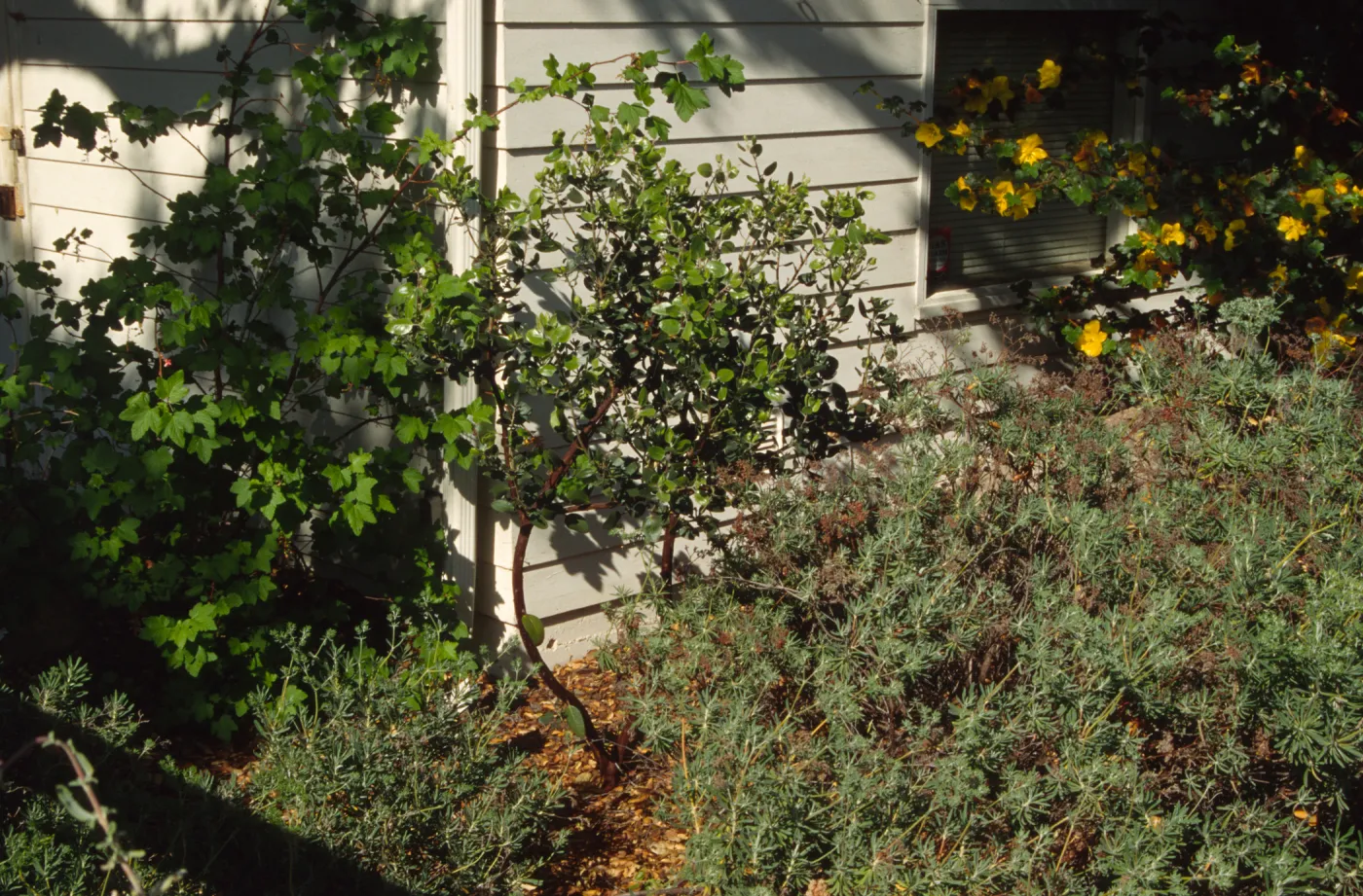 Home Demonstration Garden Construction