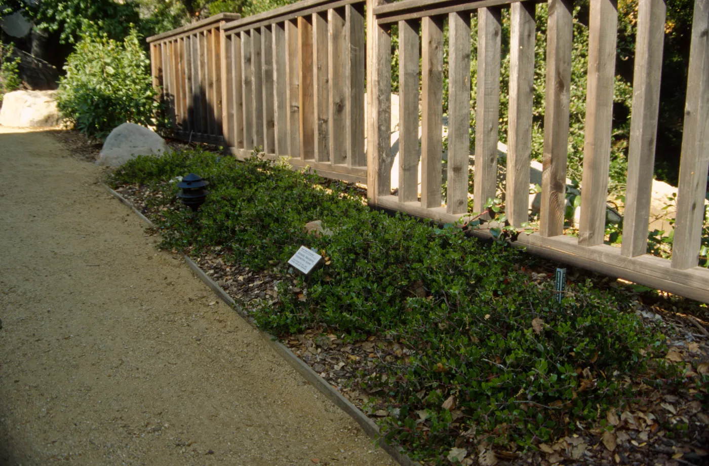 Home Demonstration Garden Construction