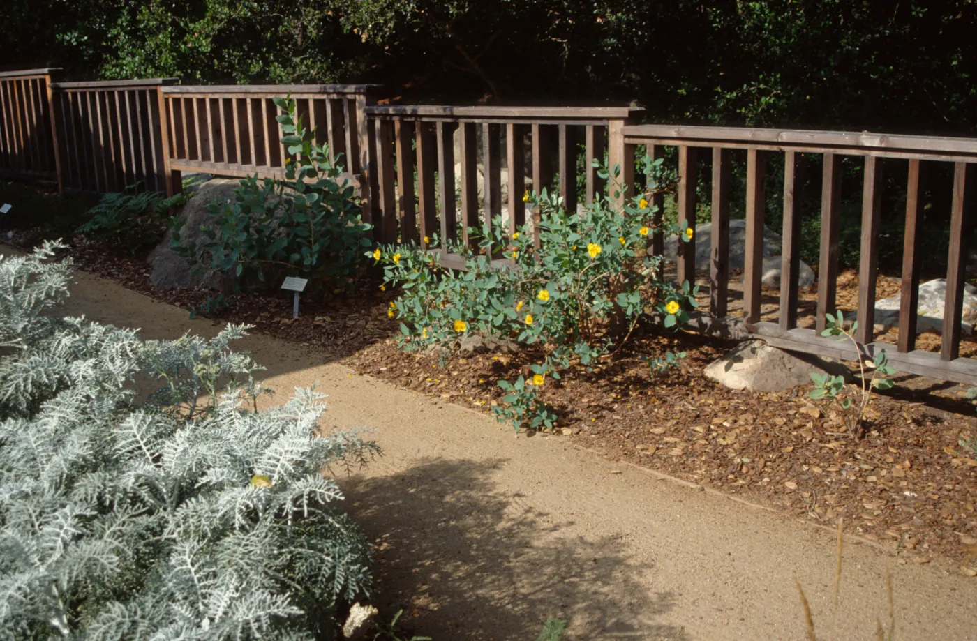 Home Demonstration Garden 