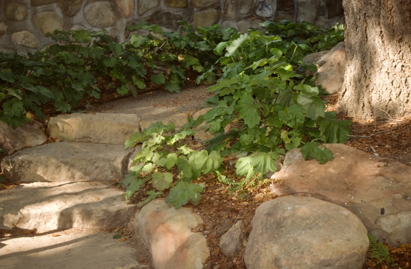 Home Demonstration Garden 