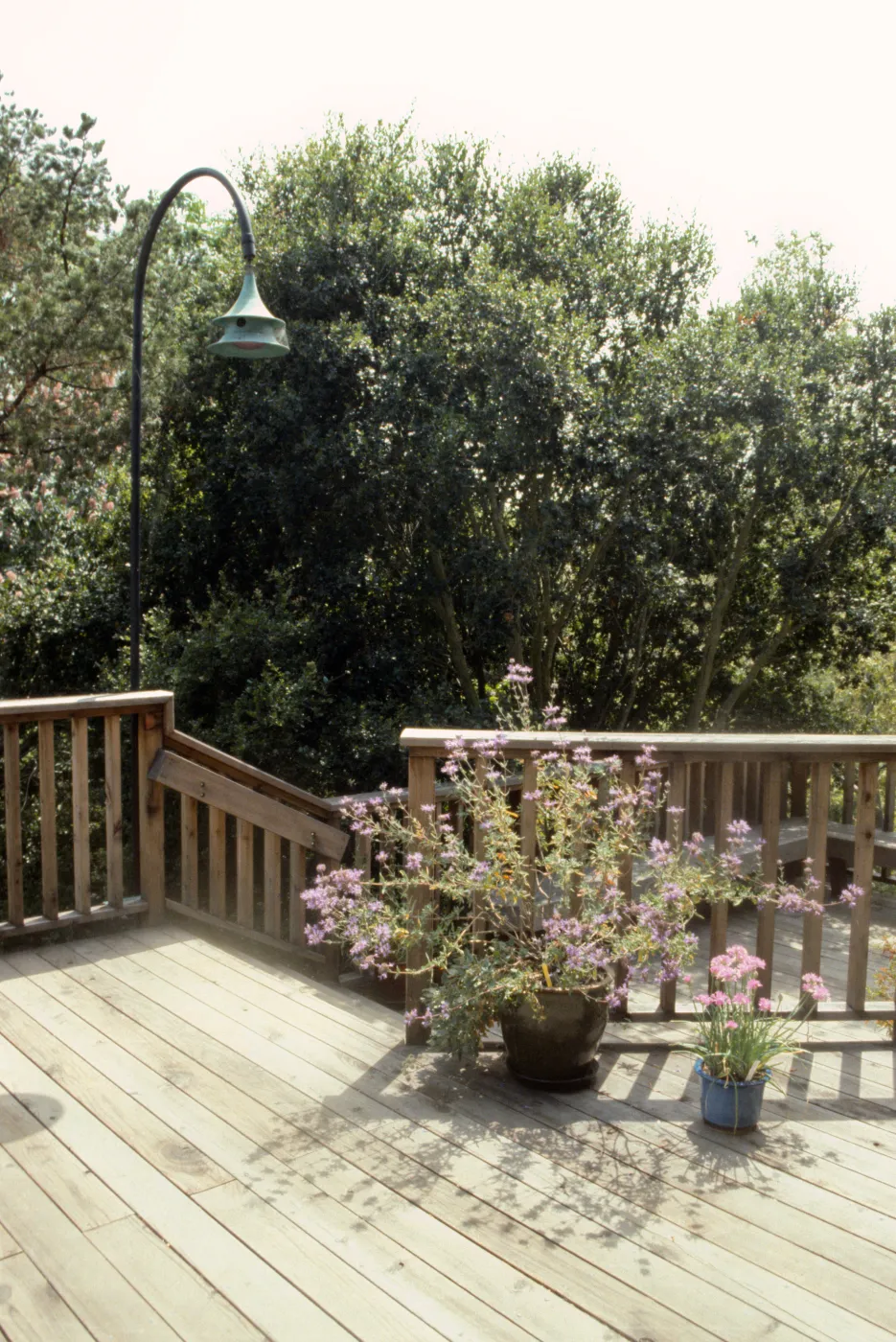 Home Demonstration Garden