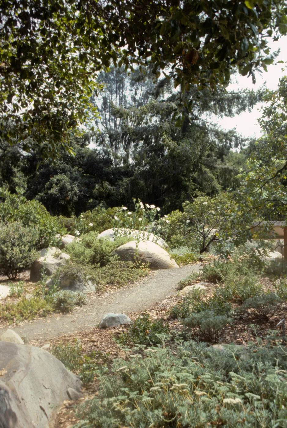 Home Demonstration Garden