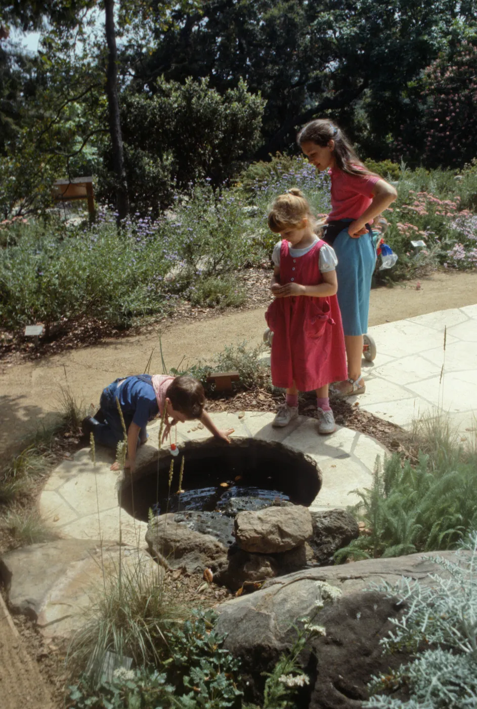Home Demonstration Garden, children, frog pond