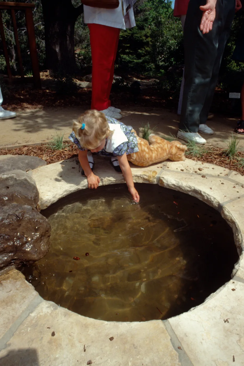 girl at frog pond, Home Demonstration Garden Dedication