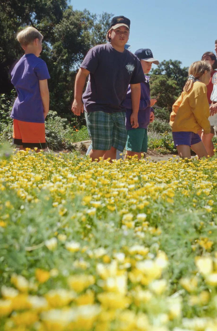 Children in the Meadow