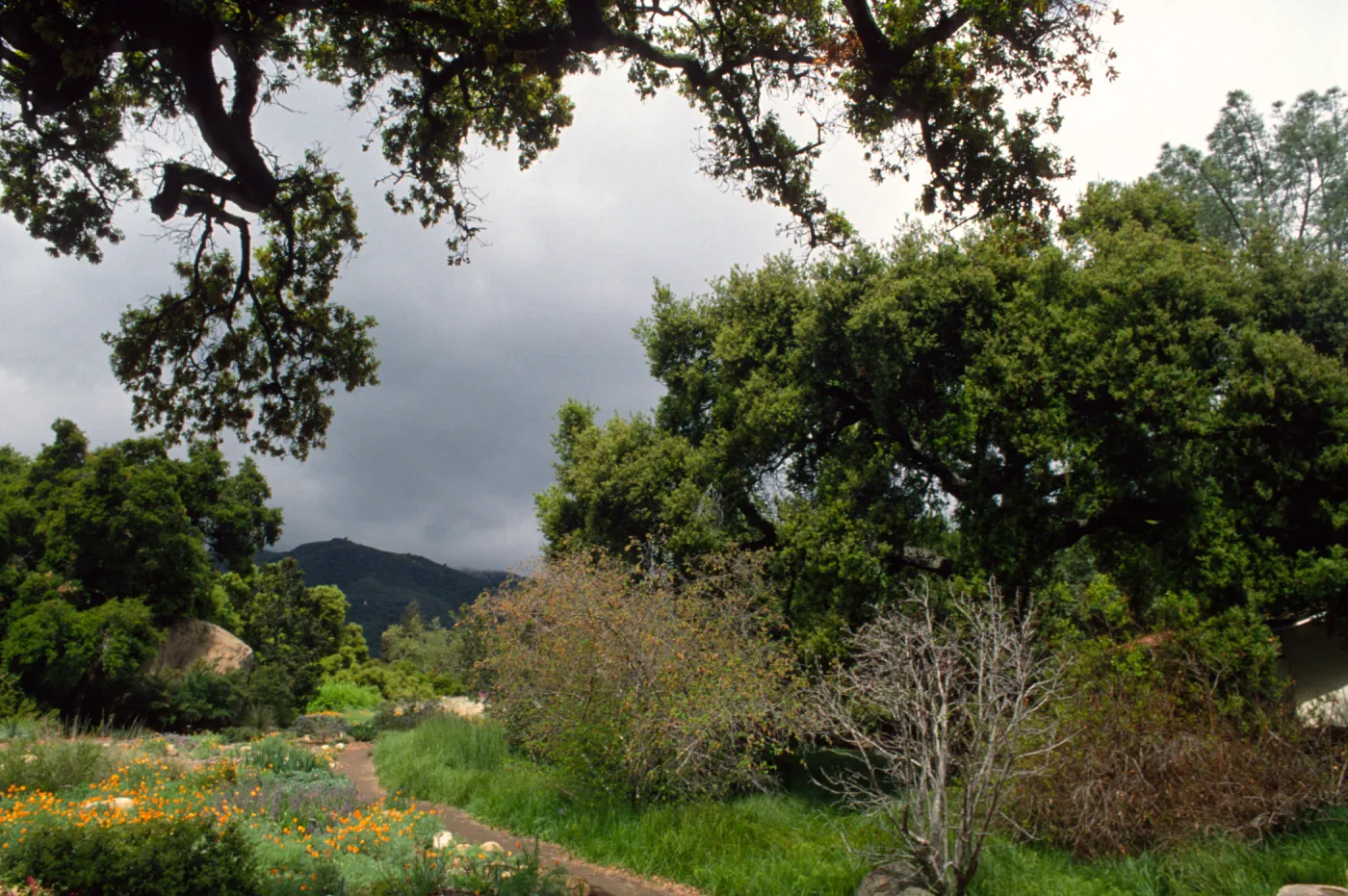 view of Meadow from entrance oak