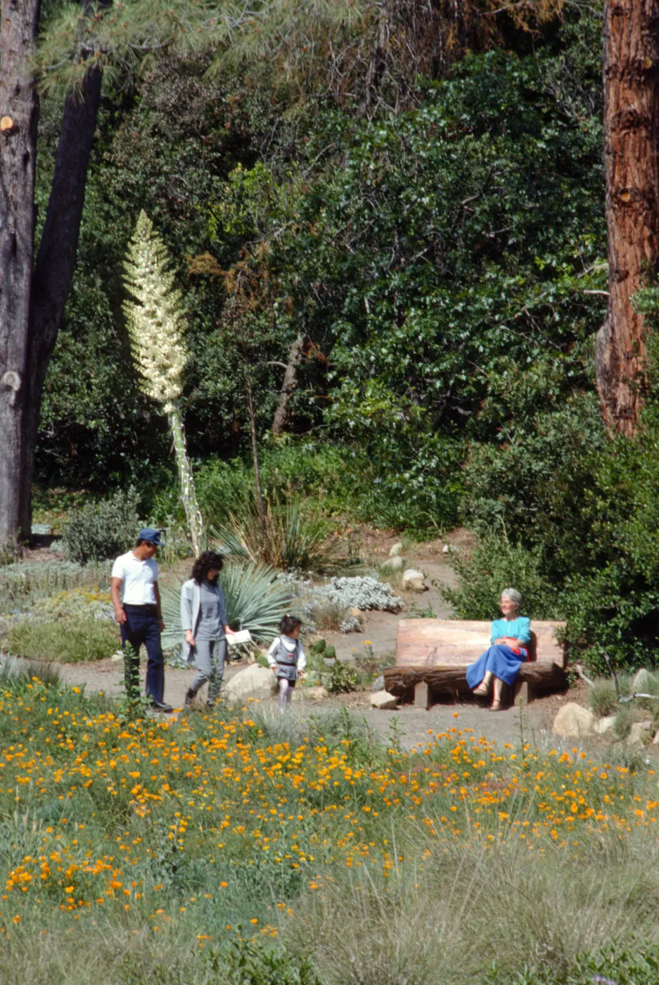 Meadow with bench & visitors