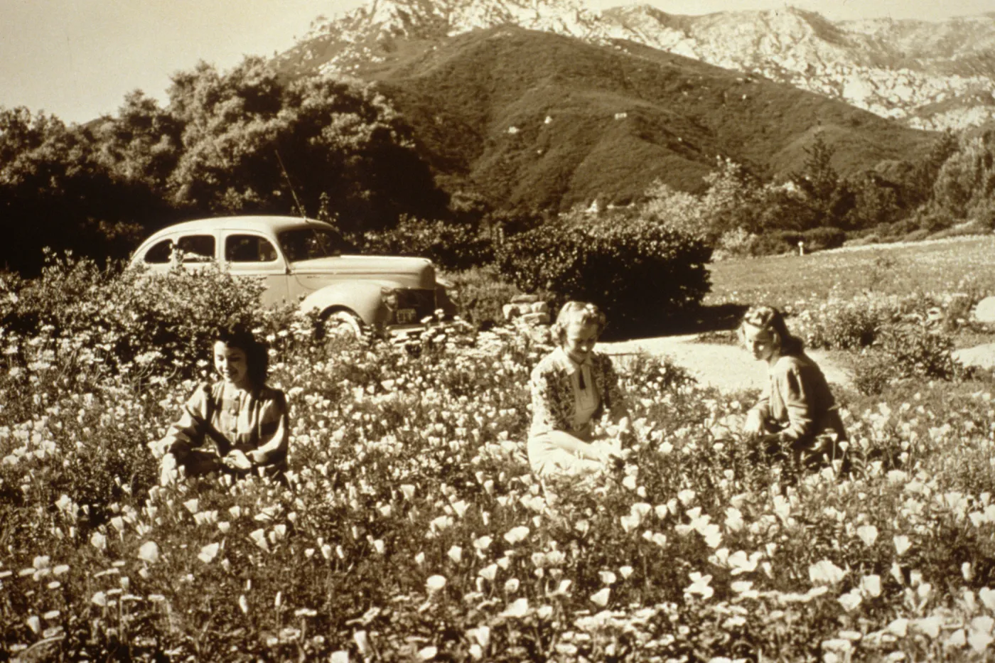 Meadow with car & visitors