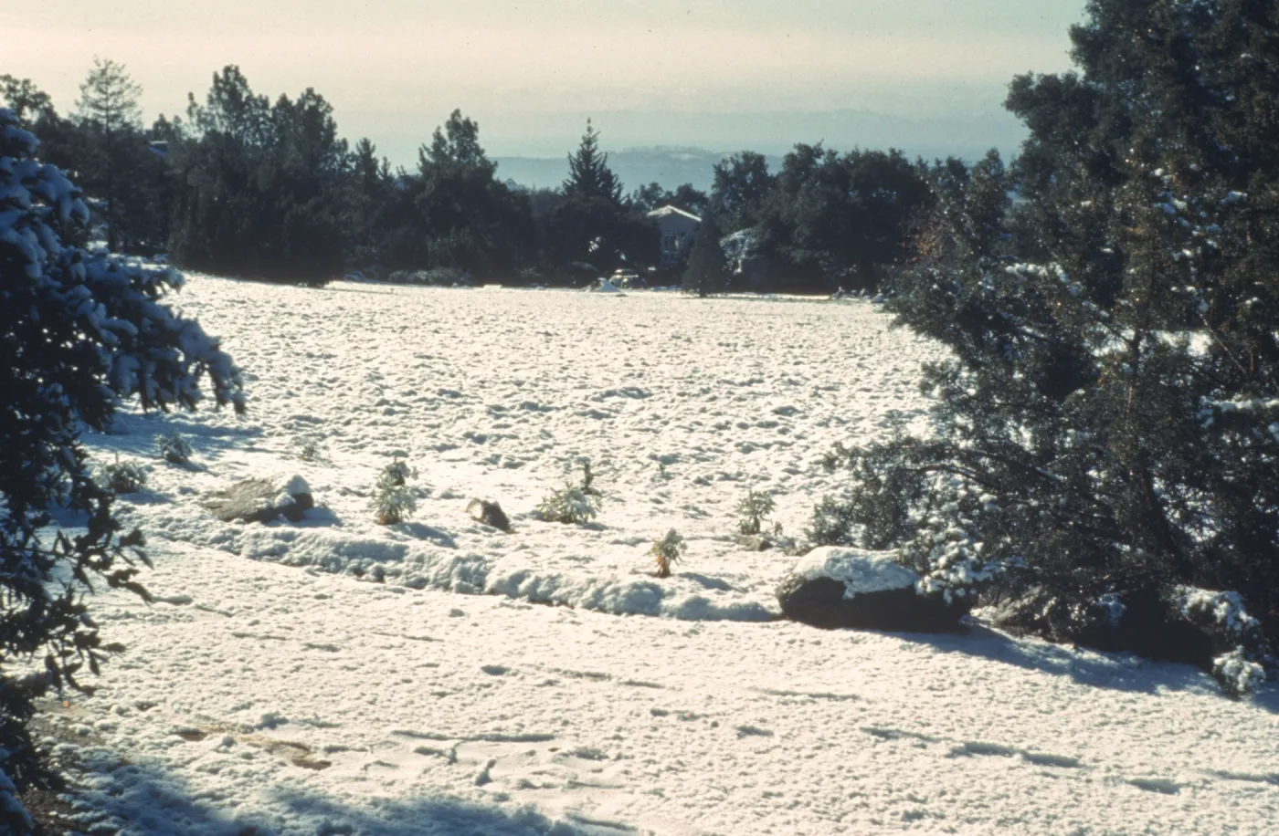 Meadow, snow-covered, looking south from top of Meadow to the Blaksley Library